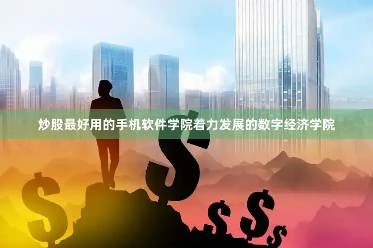 炒股最好用的手机软件学院着力发展的数字经济学院